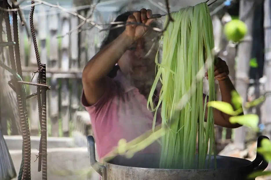 Boiling the toquilla straw for its perfect bleaching and drying is a guarantee of having the best raw material for the best Montecristi Panama Hats by Domingo Carranza Hats