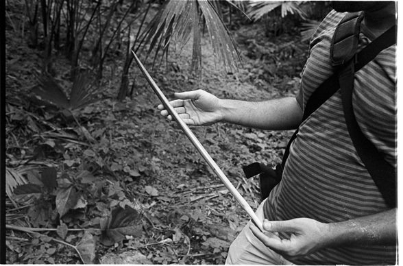 Domingo Carranza Hats in the wild rainforest shows the photographer from Gessato design magazine a freshly harvested toquilla palm stick with his sharp machete